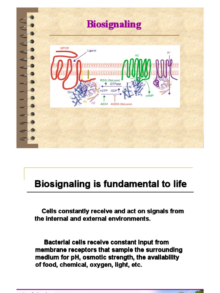 Biosignaling Biosignaling Biosignaling Biosignaling | PDF | Protein ...