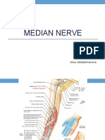 Median Nerve