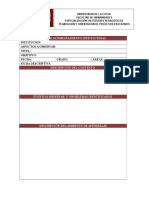 Formato Plan de Acompañamiento Institucional