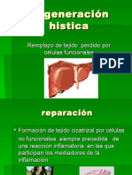 Regeneracion Histica