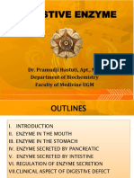 Digestive Enzyme - Biochemistry UGM (2015)