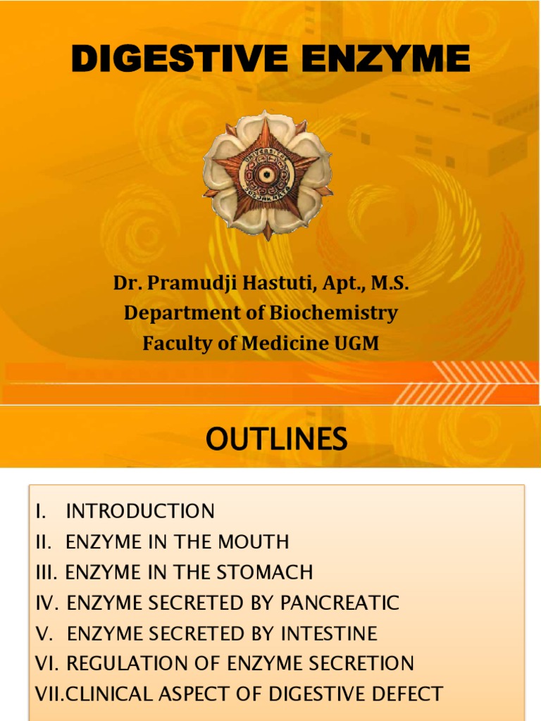 Digestive Enzymes Overview and Functions | PDF | Digestion | Human ...