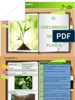 Crecimiento plantas