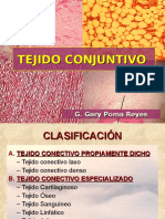 2.tejido Conjuntivo