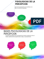 Bases Fisiologicas de La Percepcion