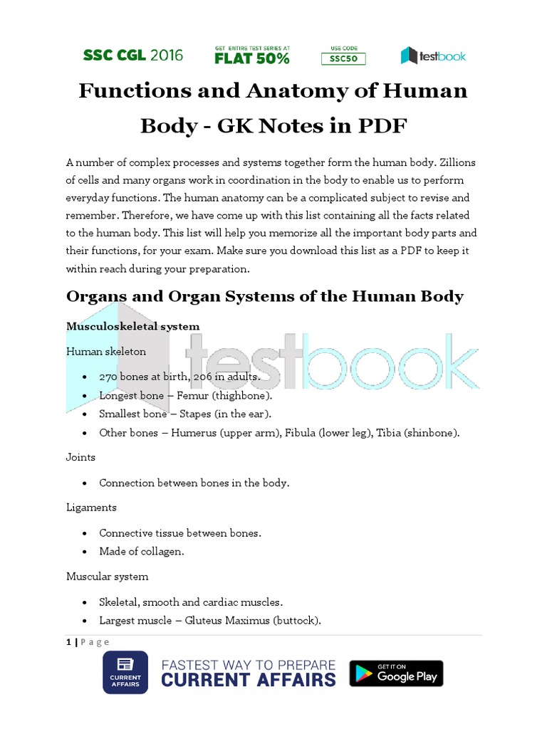 Human Body Functions and Anatomy Guide | PDF | Central Nervous System ...