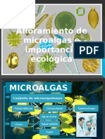 Afloramiento de Microalgas Importancia