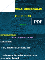 Curs 2 - Fracturile Mb. Sup. I