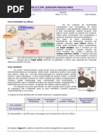 Ficha Trabalho-Atos Voluntários e Involuntários