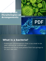 bacterial cell morphologies pptm