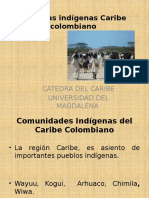 Culturas Indígenas Caribe Colombiano