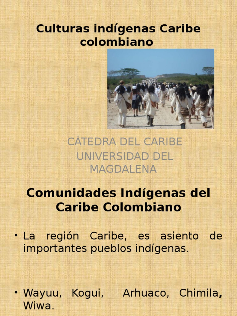 Culturas Indígenas Caribe Colombiano | PDF | Pueblos Indígenas de las ...