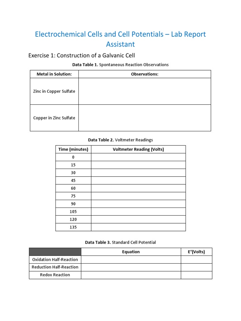 Electrochemical Cells and Cell Potentials RPT PDF PDF