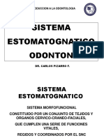 Clase S. Estomatognatico