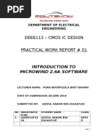 Practical Work Report 1