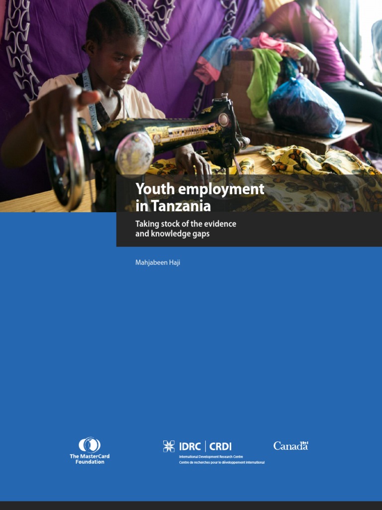 Youth Employment Challenges in Tanzania | PDF | Unemployment | Social ...