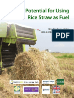 Final Executive Summary - Rice Straw Project