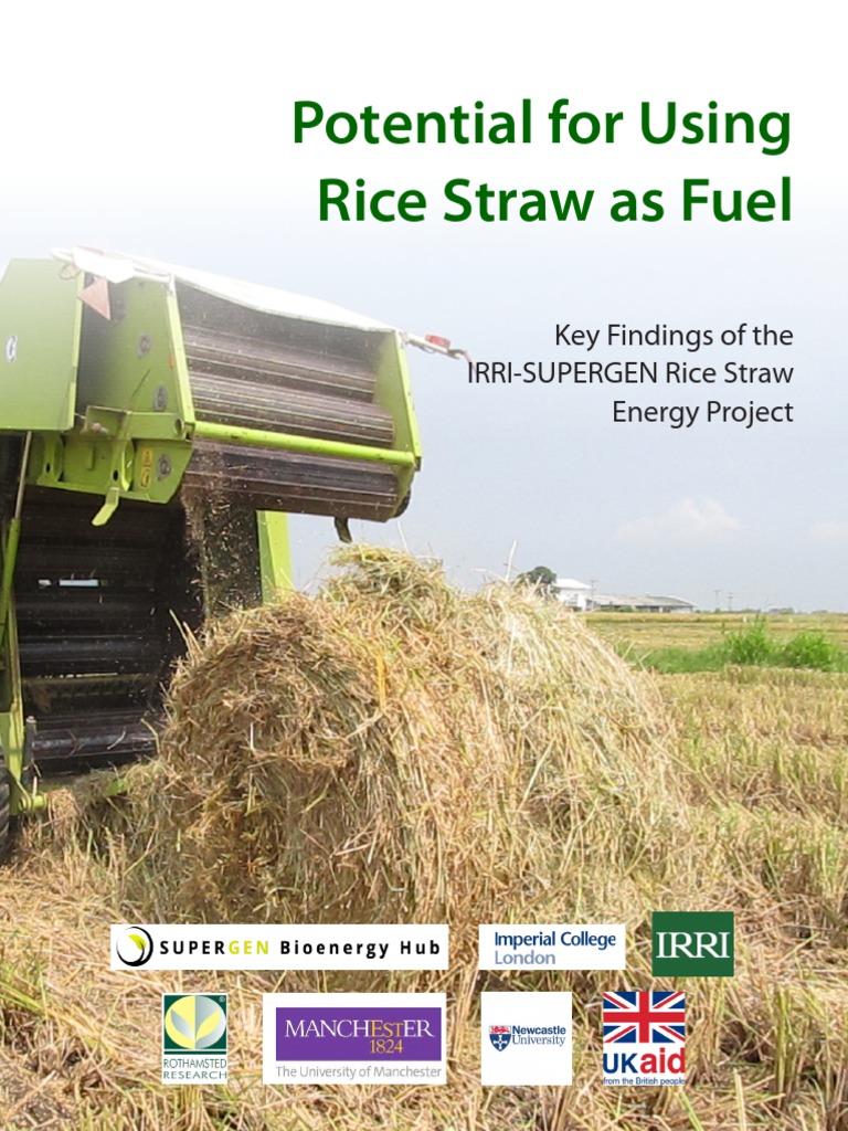 Final Executive Summary Rice Straw Project Anaerobic Digestion Biogas