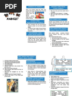 Leaflet Rabies
