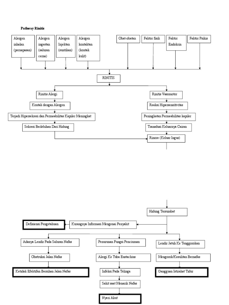 Pathway Rinitis | PDF