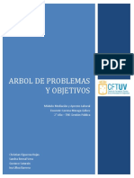 Arbol de Problemas y Objetivos