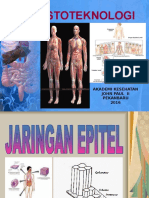 Sitohistoteknologi 2, Jaringan Epitel