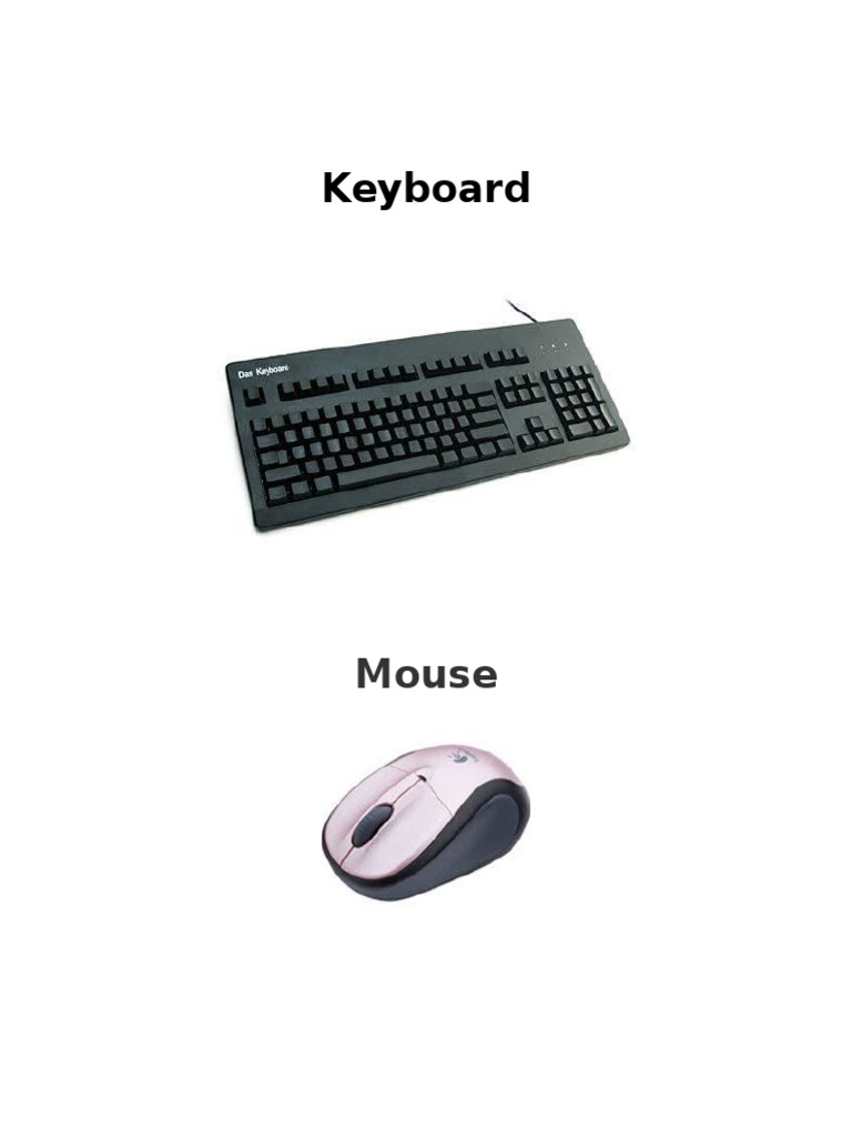 The Core Components that Make Up a Basic Computer System A Breakdown