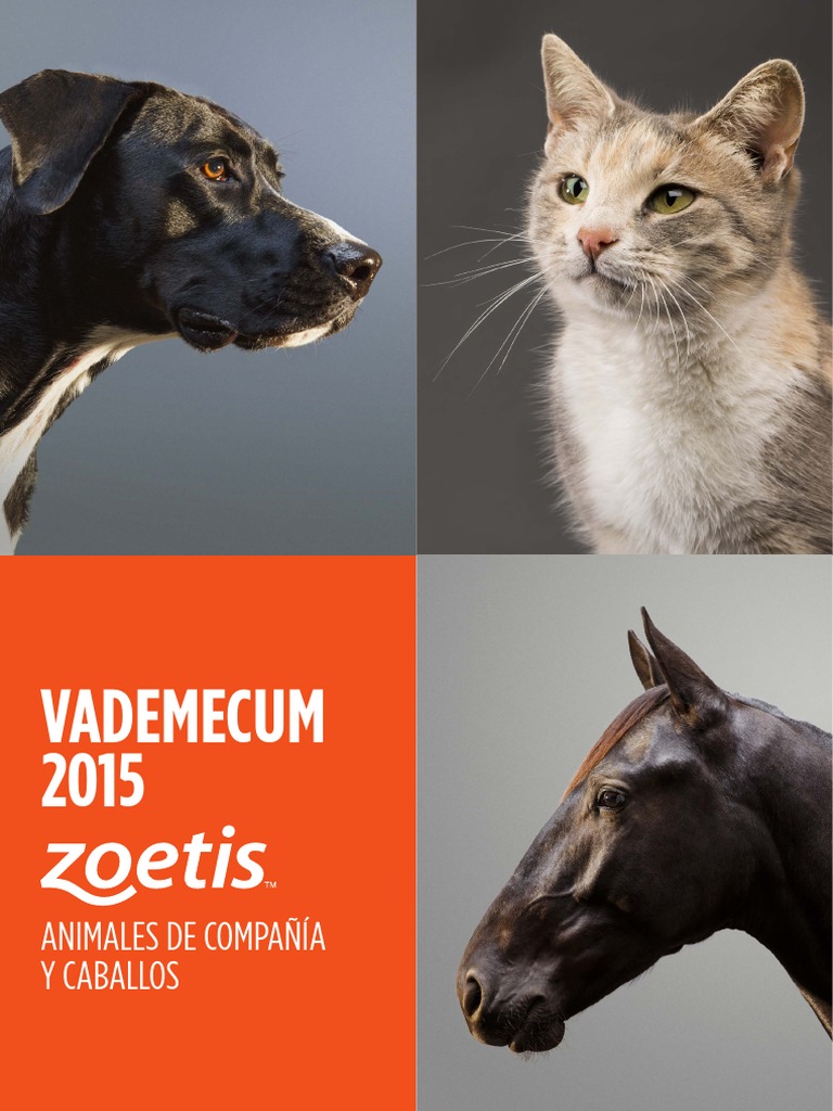 zoetis Prescription Drugs Penicillin