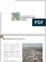 Caso Esmeralda.pdf