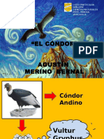 El Condor