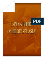 espinabifidamielodisplasia.pdf