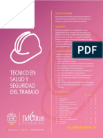 tecnico-salud-seguridad-trabajo.pdf