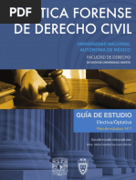 Guia Practica Forense Derecho Civil