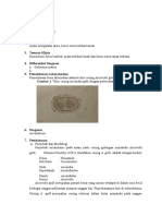 Ascaridiasis Pada Ayam