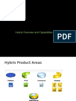 Hybris Overview