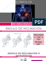 Biomecánica de cadera: ángulos, movimientos, músculos y alineamiento acetabular