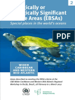 Ecologically or Biologically Significant Marine Areas (Ebsas)