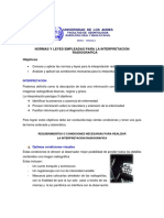 NORMAS DE INTERPRETACION.pdf