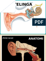 Presentasi Telinga Fix
