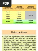 REINOS++PROTISTAS+Y+HONGOS.ppt