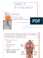 2 Anatomia Fisiologia Del Sistema Vascular
