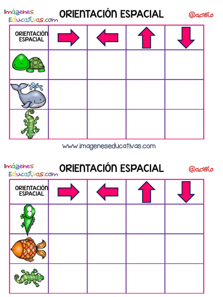 Ejercicios de Orientación Espacial para Niños | PDF