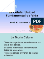 La célula.ppt