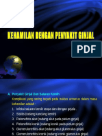 Kehamilan Dengan Penyakit Ginjal