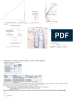 renal