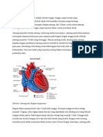 Anatomi Jantung PBL.docx