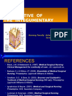 Persfective of the Integumentary System