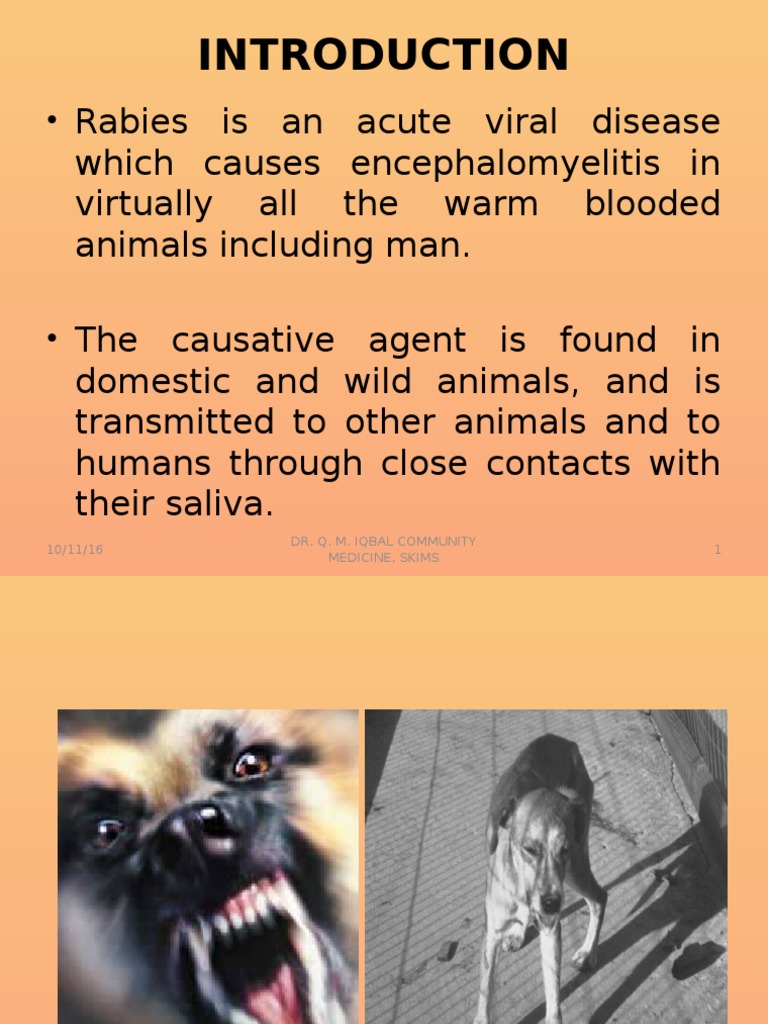 Rabies Seminar Rabies Earth & Life Sciences