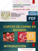 Cortes de La Canal en Bovinos y Porcinos