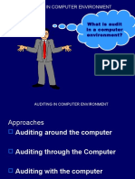 Auditing in Computer Environment Presentation 1224128964994975 8